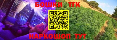 винт Канаш