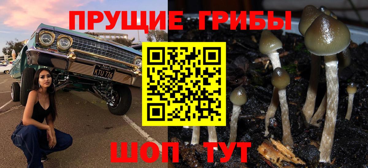 Тула  Галлюциногенные грибы мицелий  Вход с VPN 