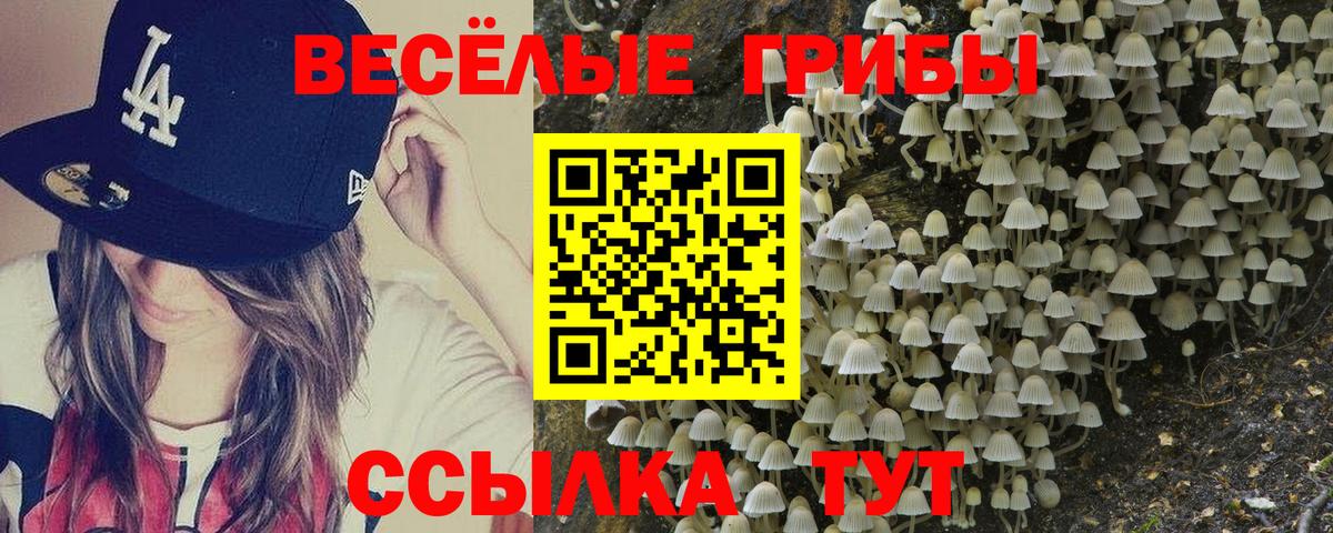 Галлюциногенные грибы Psilocybe Тула