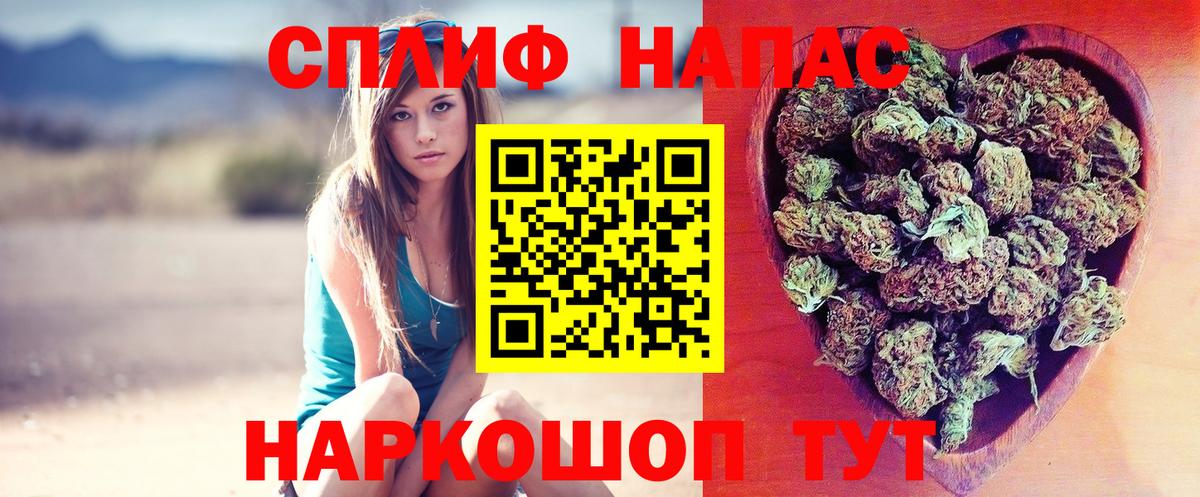 Тула  Бошки Шишки марихуана  Бошки Шишки планчик  Вход с VPN  Каннабис SATIVA & INDICA 